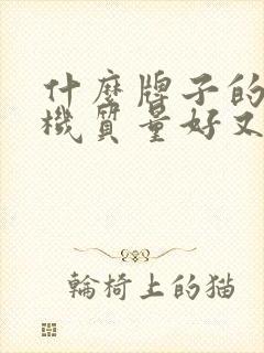 什么牌子的电视机质量好又实惠