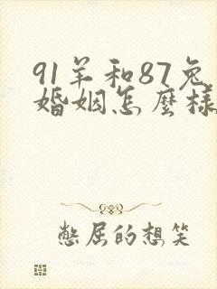 91羊和87兔婚姻怎么样