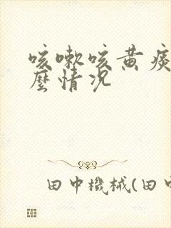 咳嗽咳黄痰是什么情况封面