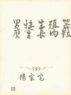 男性生殖器为什么会长肉粒