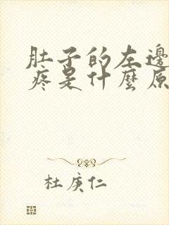 肚子的左边反复疼是什么原因