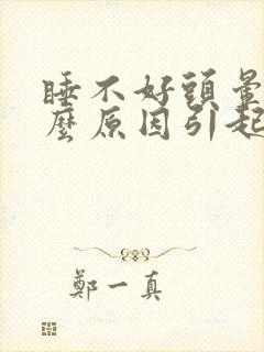 睡不好头晕是什么原因引起的