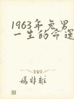 1963年兔男一生的命运详解
