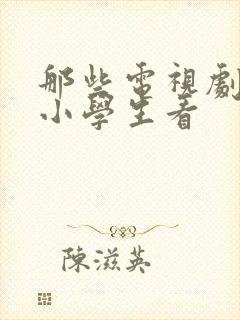 那些电视剧适合小学生看封面