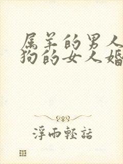 属羊的男人和属狗的女人婚姻怎么样封面