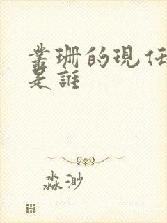 丛珊的现任丈夫是谁