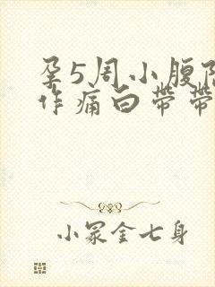 孕5周小腹隐隐作痛白带带血封面