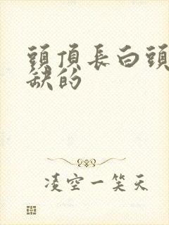 头顶长白头发是缺的