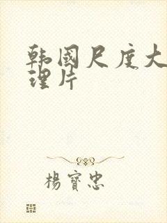 韩国尺度大的伦理片