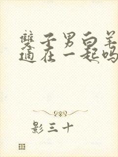 双子男白羊女合适在一起吗