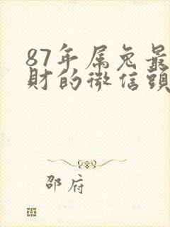 87年属兔最旺财的微信头像