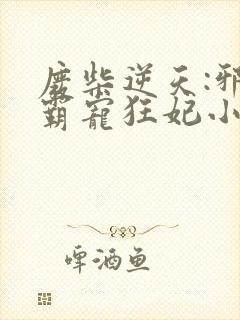 废柴逆天:邪王霸宠狂妃小说封面