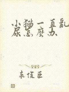 小猫一直乱拉乱尿怎么办