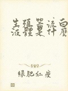 生殖器流白色的液体是什么