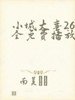 小城大事26集全免费播放下载