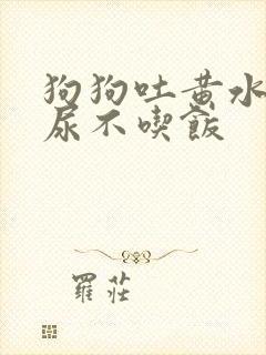 狗狗吐黄水尿黄尿不吃饭