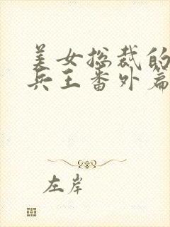 美女总裁的贴身兵王番外篇