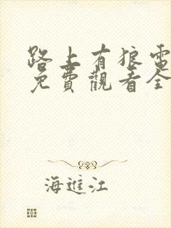 路上有狼电视剧免费观看全集