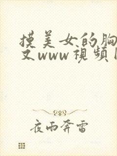 摸美女的胸又大又www视频网站