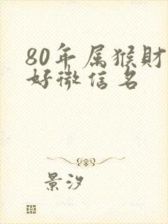 80年属猴财运好微信名