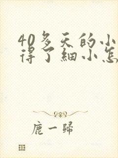 40多天的小狗得了细小怎么办