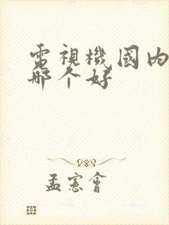 电视机国内品牌哪个好