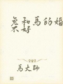 兔和马的婚姻好不好封面