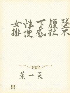 女性下腹坠痛有排便感拉不出