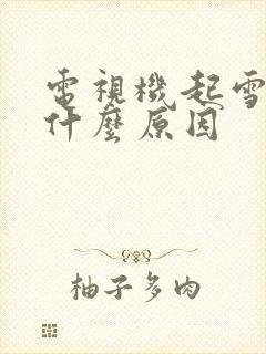 电视机起雪花是什么原因