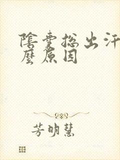 阴囊总出汗是什么原因