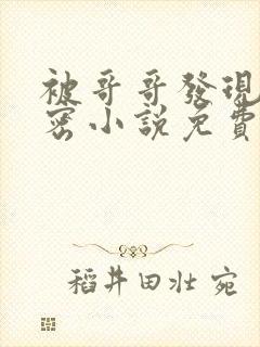 被哥哥发现的秘密小说免费阅读全文