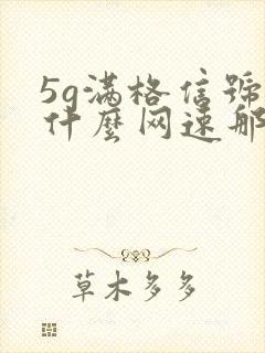 5g满格信号为什么网速那么慢