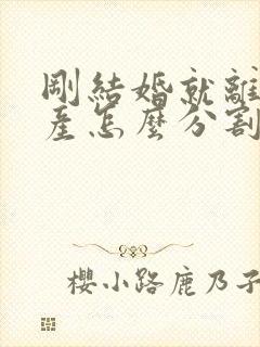 刚结婚就离婚财产怎么分割