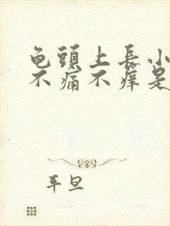 龟头上长小疙瘩不痛不痒是怎么回事