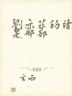 刘亦菲的靖康剧是哪部封面