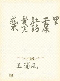 感觉肚子里有拉不完的屎