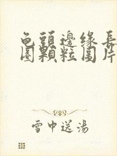 龟头边缘长了一圈颗粒图片