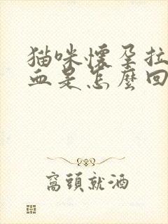 猫咪怀孕拉屎带血是怎么回事