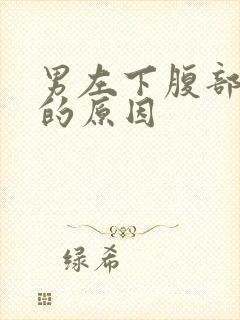 男左下腹部绞痛的原因