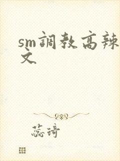 sm调教高辣h文