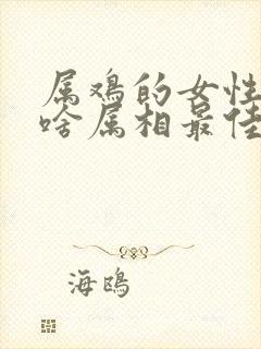 属鸡的女性婚配啥属相最佳