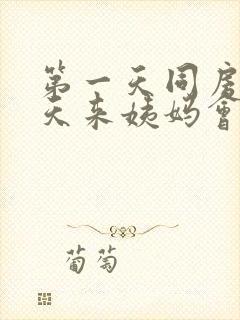 第一天同房第二天来姨妈会不会怀孕