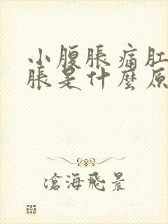 小腹胀痛肛门坠胀是什么原因封面