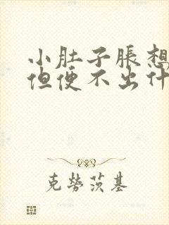 小肚子胀想大便但便不出什么原因