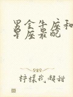 男金牛座和什么星座最配封面