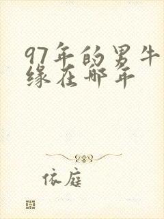 97年的男牛姻缘在哪年