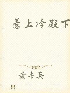 惹上冷殿下全集