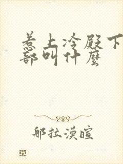 惹上冷殿下第二部叫什么