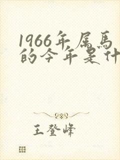 1966年属马的今年是什么命
