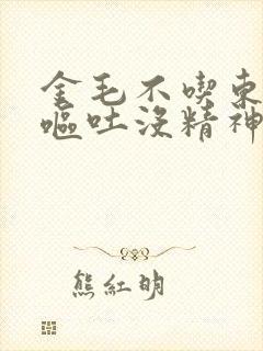 金毛不吃东西还呕吐没精神怎么办